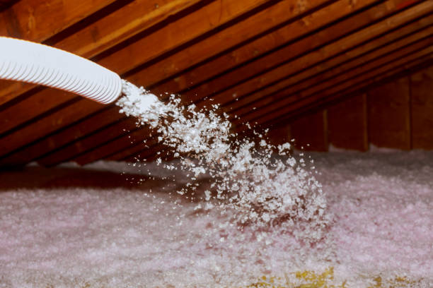 Best Blown-in Insulation in Josephine, TX