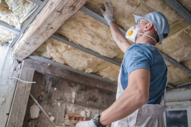 Types of Insulation We Offer in Josephine, TX