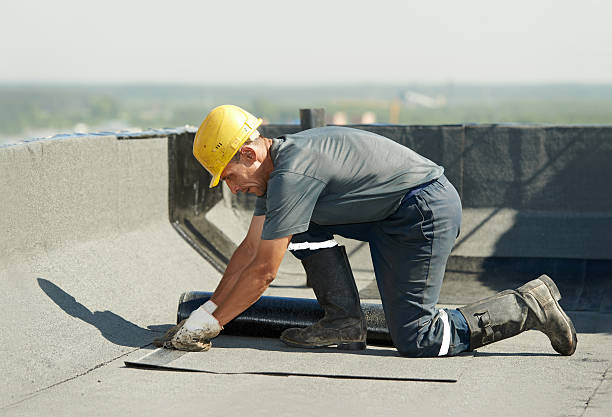 Best Cellulose Insulation in Josephine, TX